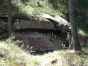 2017-06-01 12-39-40 Rando Fontainebleau DLe